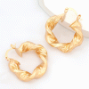 Alloy-Twisted-Hoop-Earrings1_1800x1800.gif